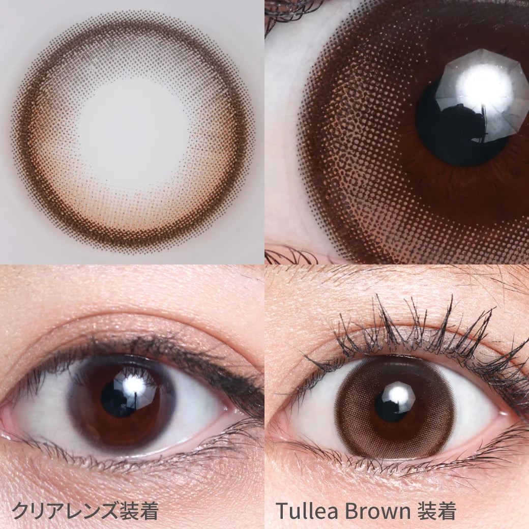 TEAMO 1DAY HALF TYPE TULLEA BROWN(1BOX 10SHEETS) 0