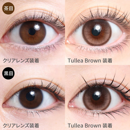 TEAMO 1DAY NATURAL HALF TYPE TULLEA BROWN(1BOX 10SHEETS) 1