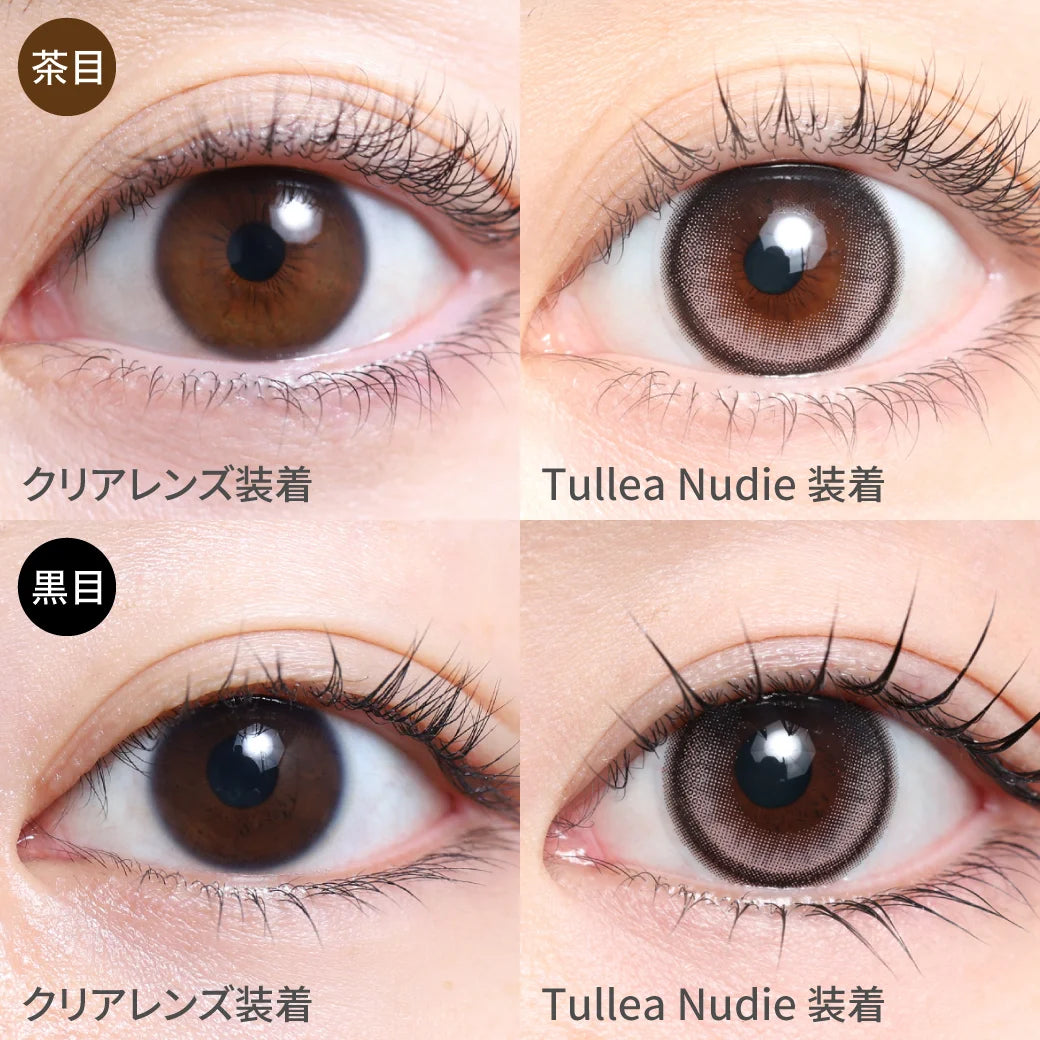 TEAMO 1DAY NATURAL HALF TYPE TULLEA NUDIE(1BOX 10SHEETS) 1