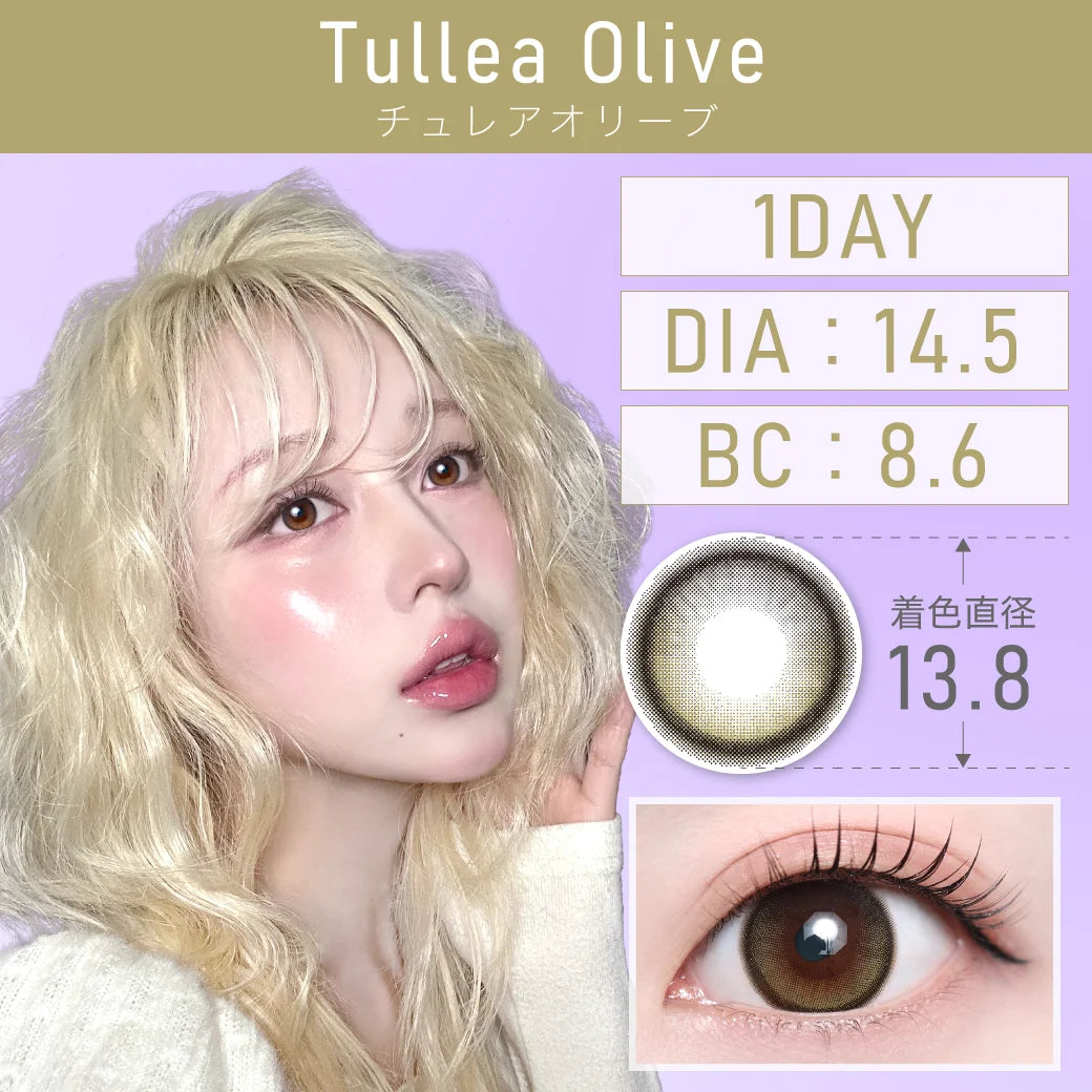 TEAMO 1DAY NATURAL HALF TYPE TULLEA OLIVE(1BOX 10SHEETS) MAIN IMAGE