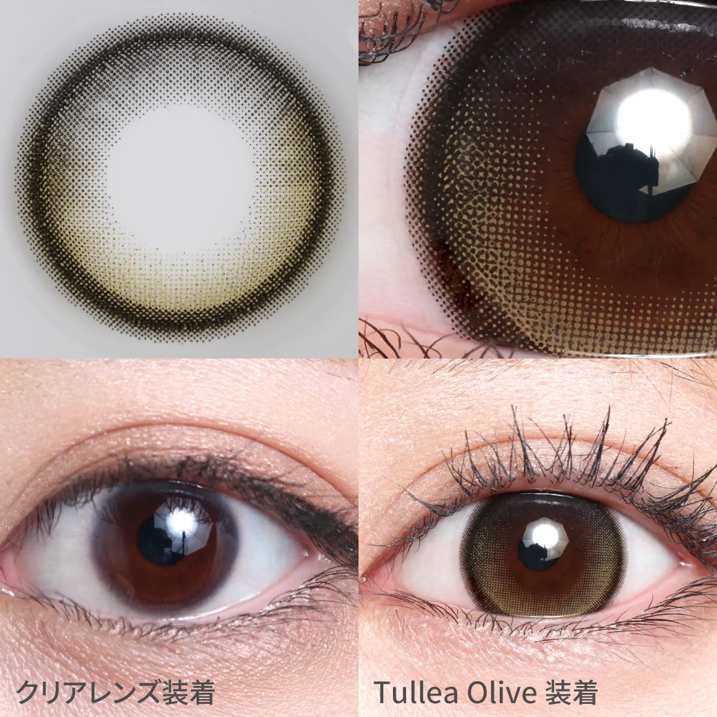 TEAMO 1DAY HALF TYPE TULLEA OLIVE(1BOX 10SHEETS) 0