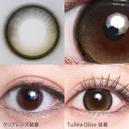 TEAMO 1DAY HALF TYPE TULLEA OLIVE(1BOX 10SHEETS) 0