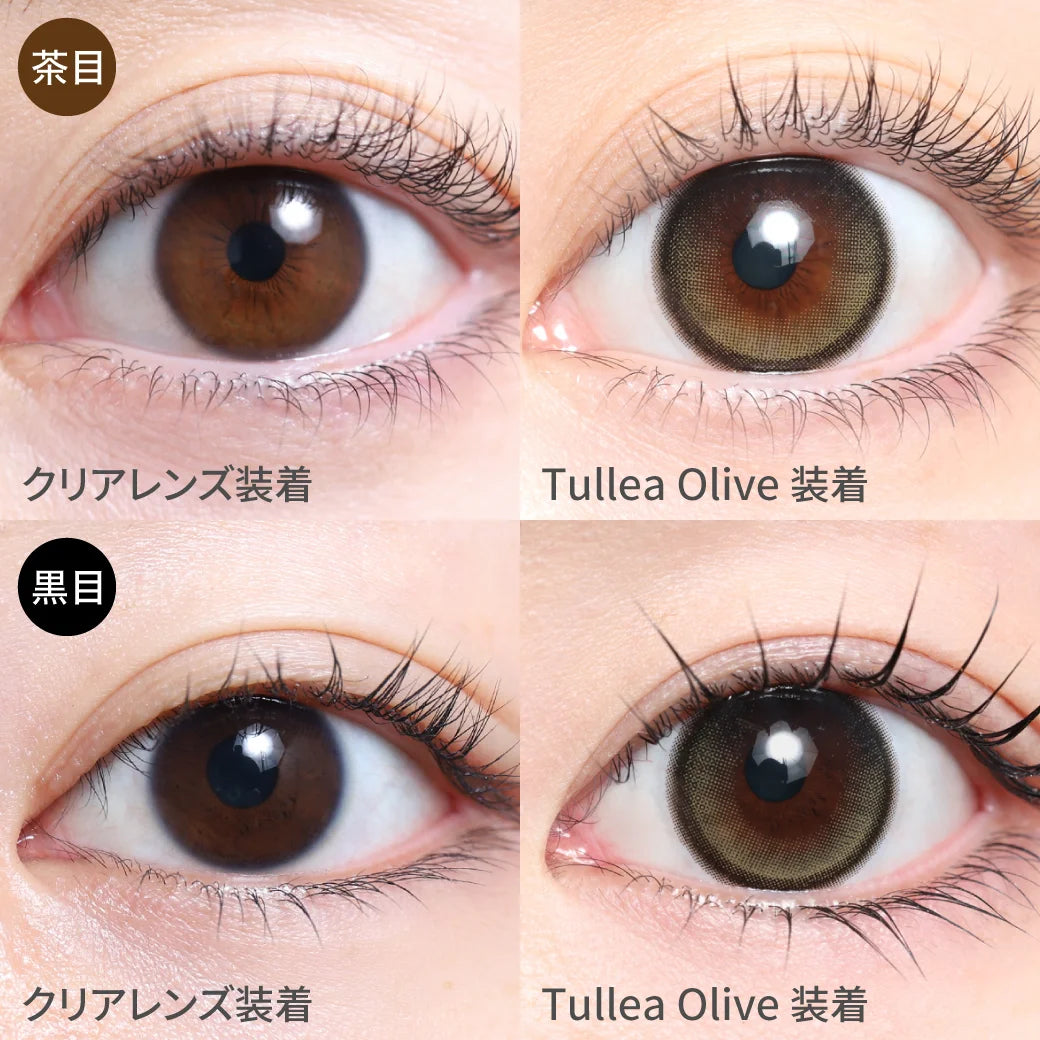 TEAMO 1DAY NATURAL HALF TYPE TULLEA OLIVE(1BOX 10SHEETS) 1