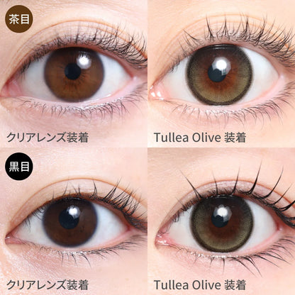 TEAMO 1DAY NATURAL HALF TYPE TULLEA OLIVE(1BOX 10SHEETS) 1