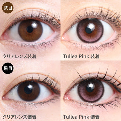 TEAMO 1DAY NATURAL HALF TYPE TULLEA PINK(1BOX 10SHEETS) 1