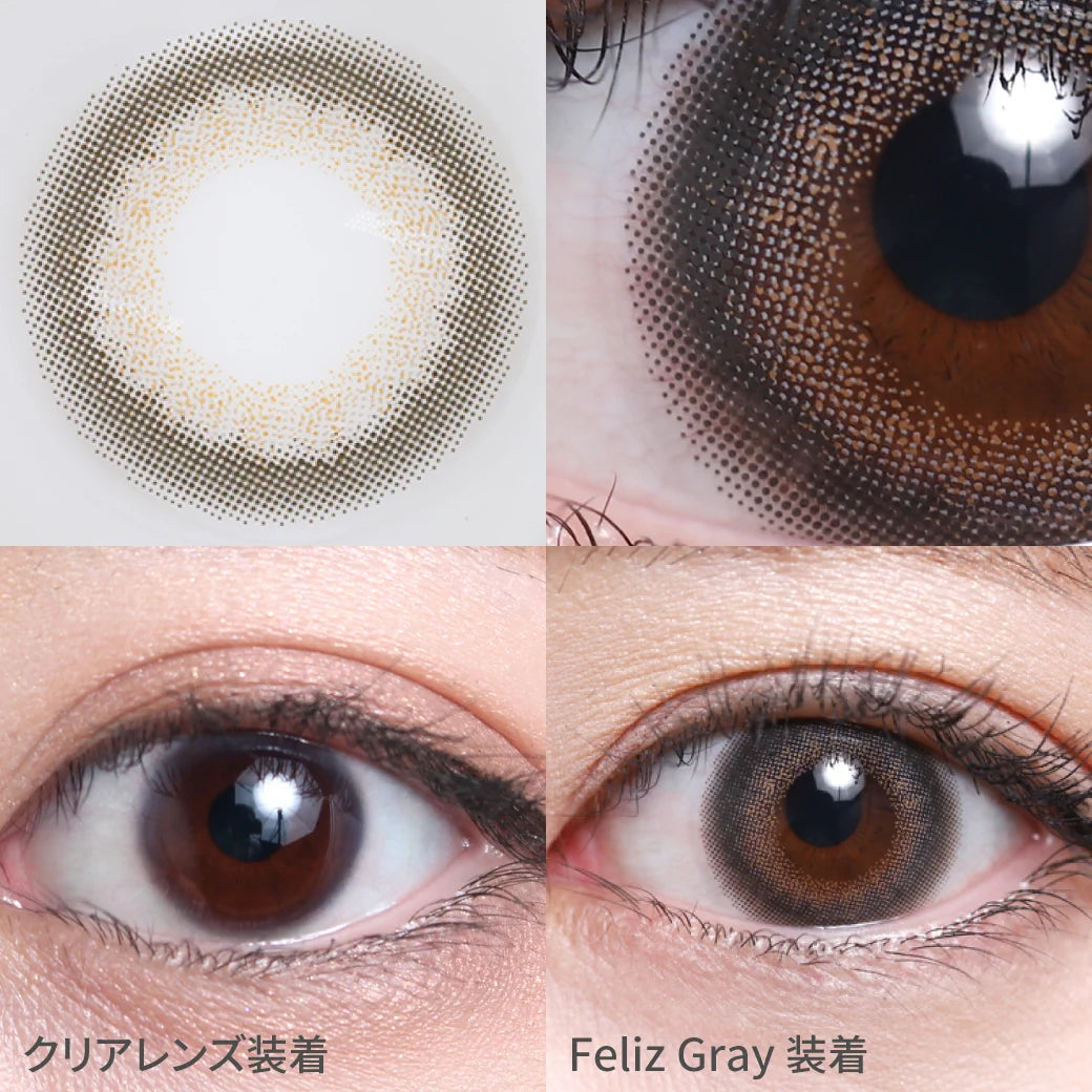 TEAMO 1MONTH CHERIA SERIES FELIZ GRAY(1BOX 1SHEET) 0