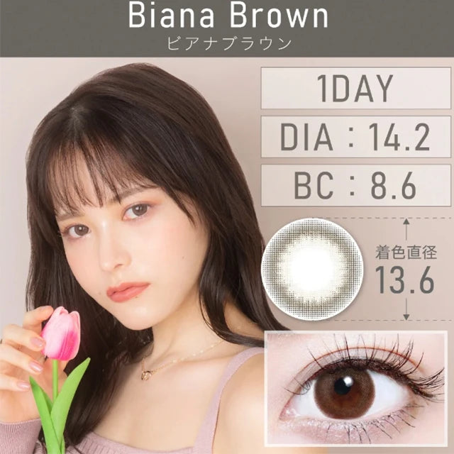 TEAMO 1DAY NATURAL TYPE BIANA BROWN(1BOX 10SHEETS) MAIN IMAGE