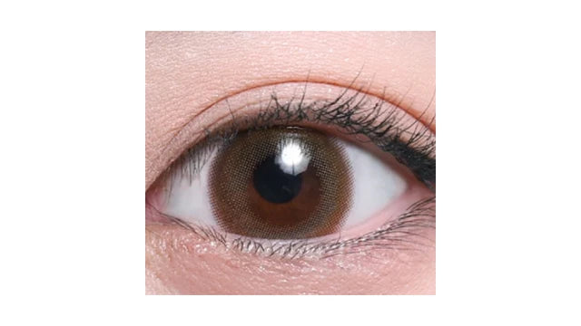 TEAMO 1DAY NATURAL TYPE BIANA BROWN(1BOX 10SHEETS) 0