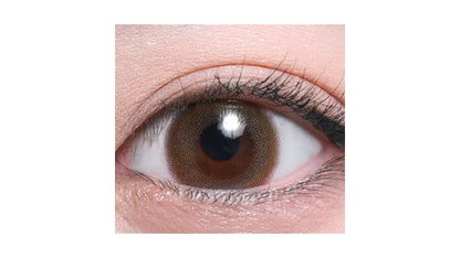 TEAMO 1DAY NATURAL TYPE BIANA BROWN(1BOX 10SHEETS) 0