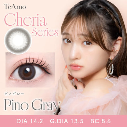 TEAMO 1DAY NATURALTYPE PINO GRAY(1BOX 10SHEETS) MAIN IMAGE