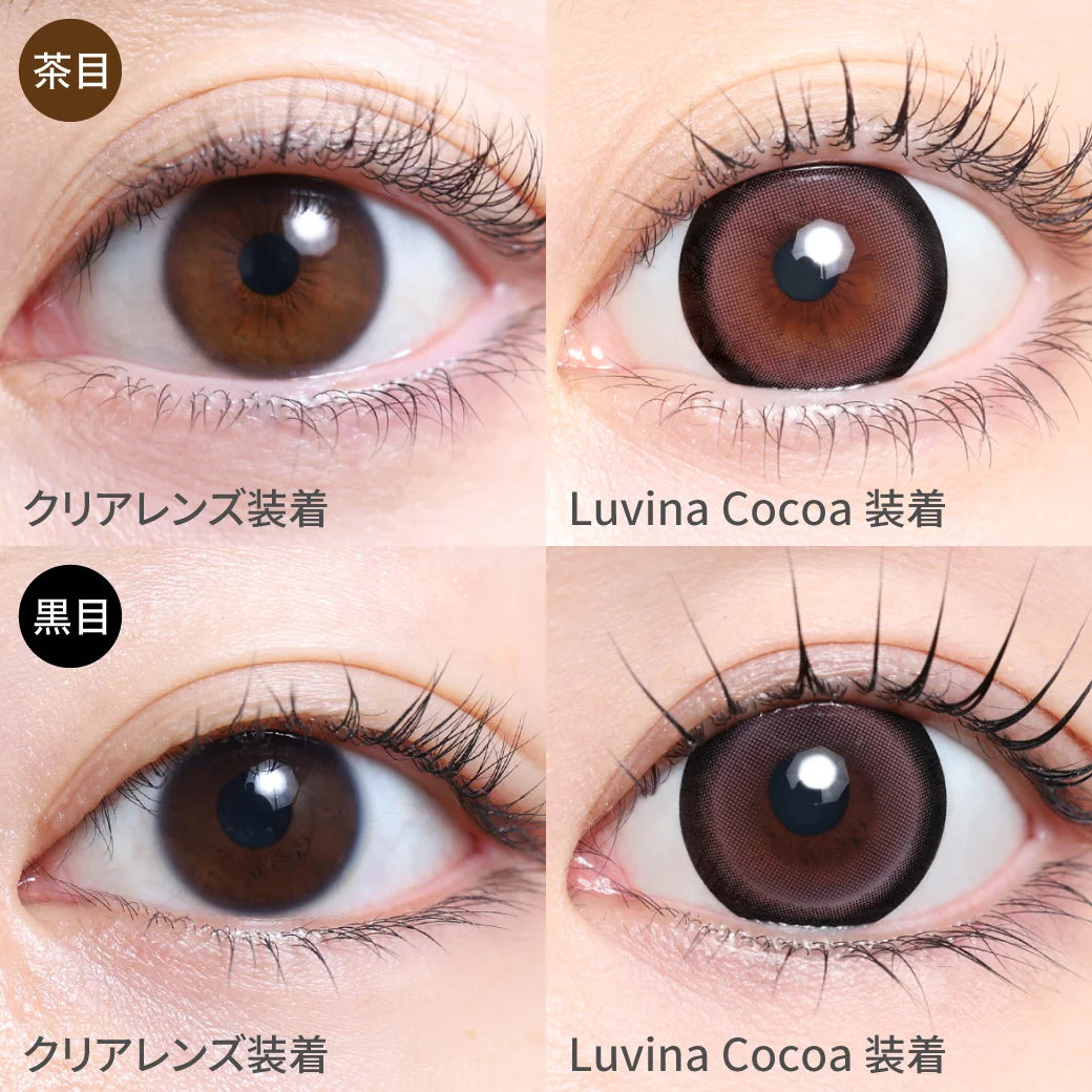 TEAMO 1MONTH SILICONE LUVINA COCOA(1BOX 1SHEET) 0