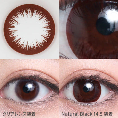 [TORIC] TEAMO 1MONTH TORIC NATURAL BLACK CYL-1.25(1BOX 1SHEET) 0