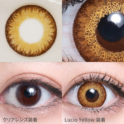 TEAMO 1DAY HIGHCOLOR TYPE LUCIO YELLOW(1BOX 10SHEETS) 0