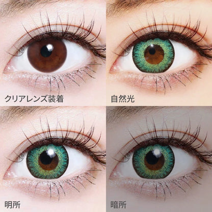 TEAMO 1DAY HIGHCOLOR TYPE RASE GREEN(1BOX 10SHEETS) 1