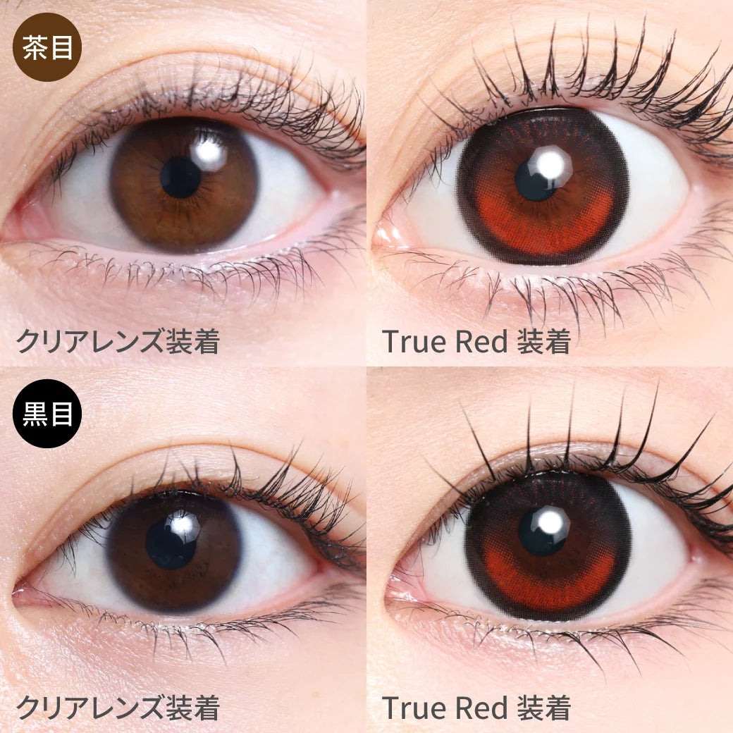 TEAMO 1DAY EDEL SERIES TRUE RED(1BOX 10SHEETS) 0
