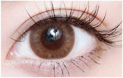 TEAMO 1DAY NATURAL HALF TYPE LUA BEIGE(1BOX 10SHEETS) 0