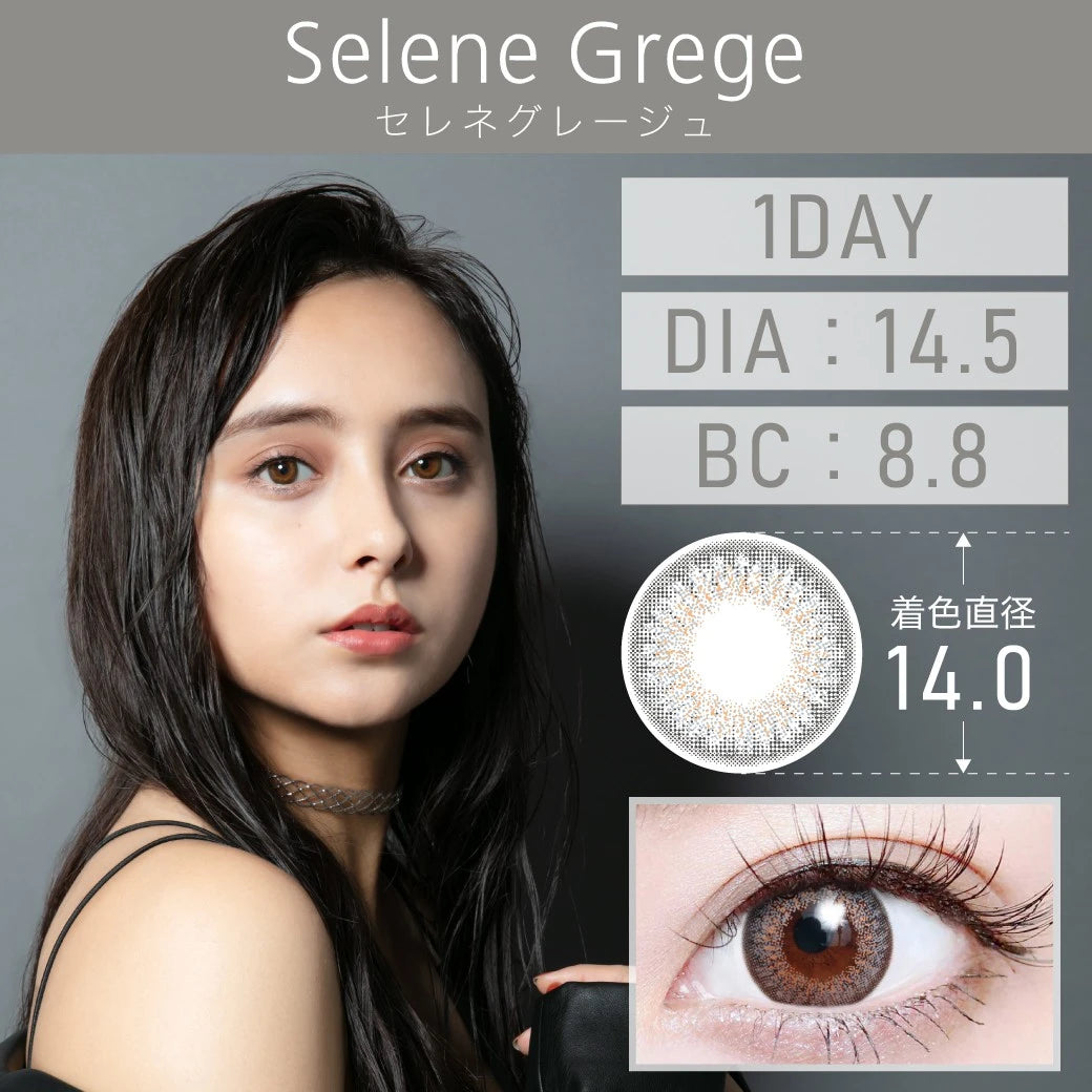 TEAMO 1DAY DEKAME TYPE SELENE GREGE(1BOX 10SHEETS) MAIN IMAGE