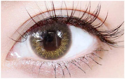TEAMO 1DAY NATURAL HALF TYPE VIVIANA BROWN(1BOX 10SHEETS) 0