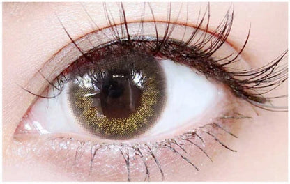 TEAMO 1DAY NATURAL HALF TYPE VIVIANA BROWN(1BOX 10SHEETS) 0