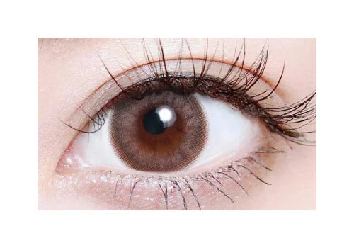 TEAMO 1MONTH NATURAL TYPE LINA BROWN(1BOX 1SHEET) 1