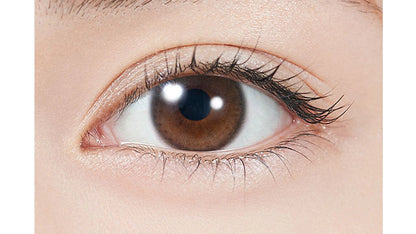 TOPARDS 1DAY GLOWBROWN(1BOX 10SHEETS) 0