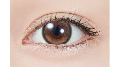 TOPARDS 1DAY MOON MELT BROWN(1BOX 10SHEETS) 0