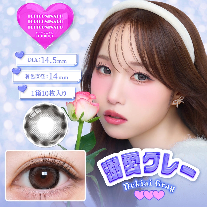 TORIKONINARU 1DAY DEKIAI GRAY(1BOX 10SHEETS) MAIN IMAGE