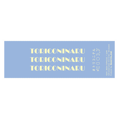 TORIKONINARU 1DAY DEKIAI GRAY(1BOX 10SHEETS) 2