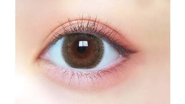 TORIKONINARU 1DAY LUMINOUS BROWN(1BOX 10SHEETS) 0