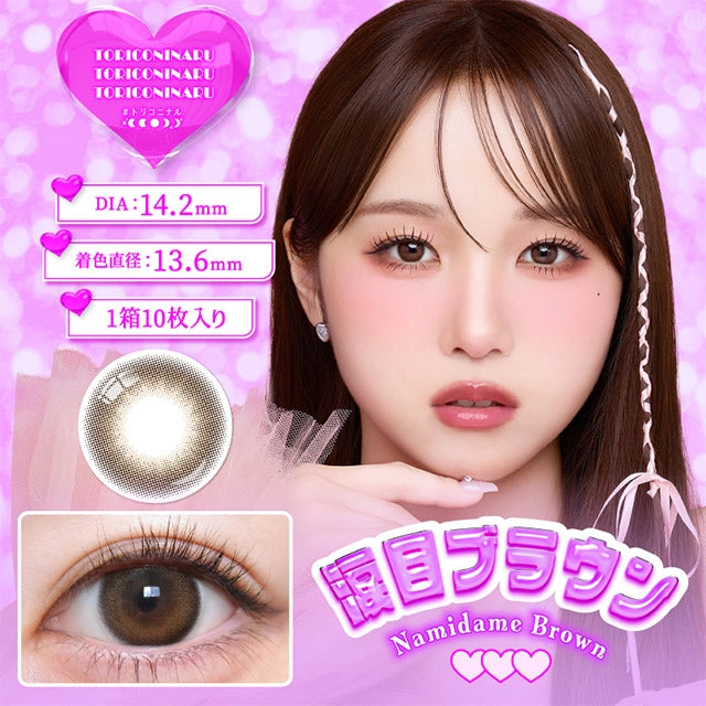 TORIKONINARU 1DAY NAMIDAME BROWN(1BOX 10SHEETS) MAIN IMAGE