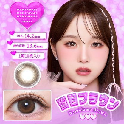 TORIKONINARU 1DAY NAMIDAME BROWN(1BOX 10SHEETS) MAIN IMAGE