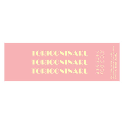TORIKONINARU 1DAY TORICO BEIGE(1BOX 10SHEETS) 2
