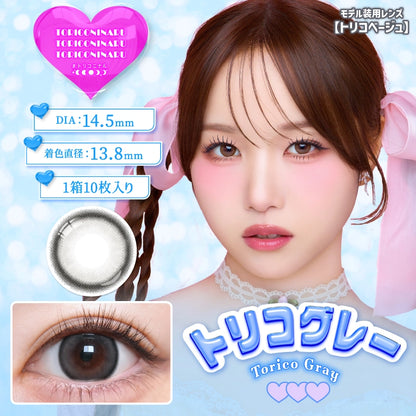 TORIKONINARU 1DAY TORICO GRAY(1BOX 10SHEETS) MAIN IMAGE
