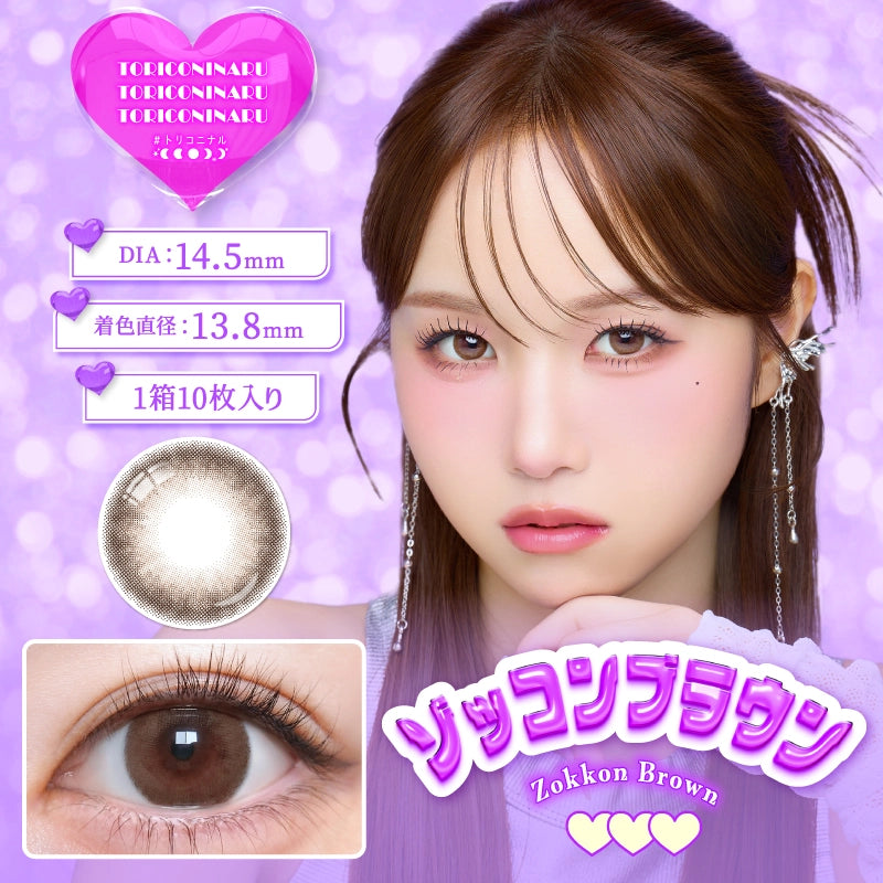 TORICONINARU 1DAY ZOKKON BROWN(1BOX 10SHEETS) MAIN IMAGE