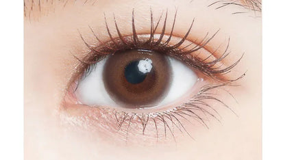 U.P.D. 1DAY SYRUP BROWN(1BOX 10SHEETS) 0
