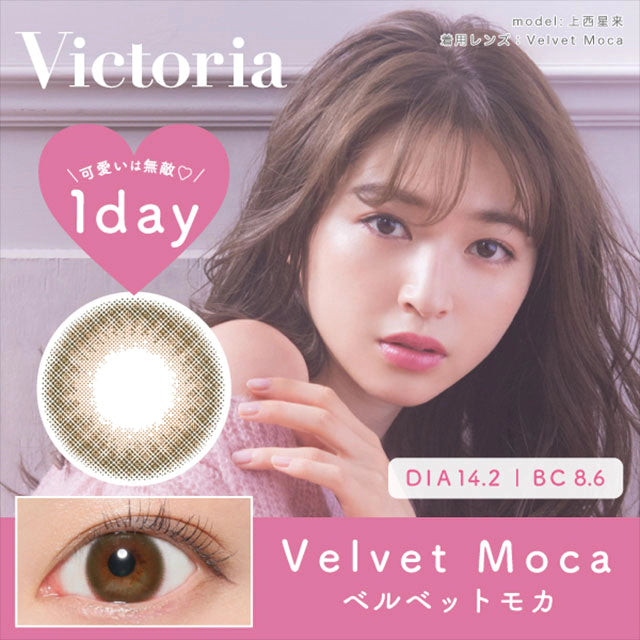 CANDYMAGIC VICTORIA 1DAY VELVET MOCA(1BOX 10SHEETS) MAIN IMAGE