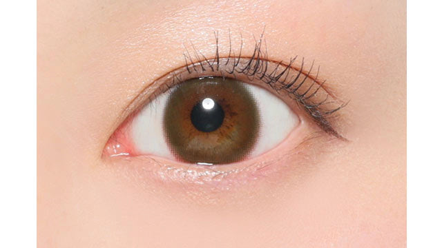 CANDYMAGIC VICTORIA 1DAY VELVET MOCA(1BOX 10SHEETS) 0