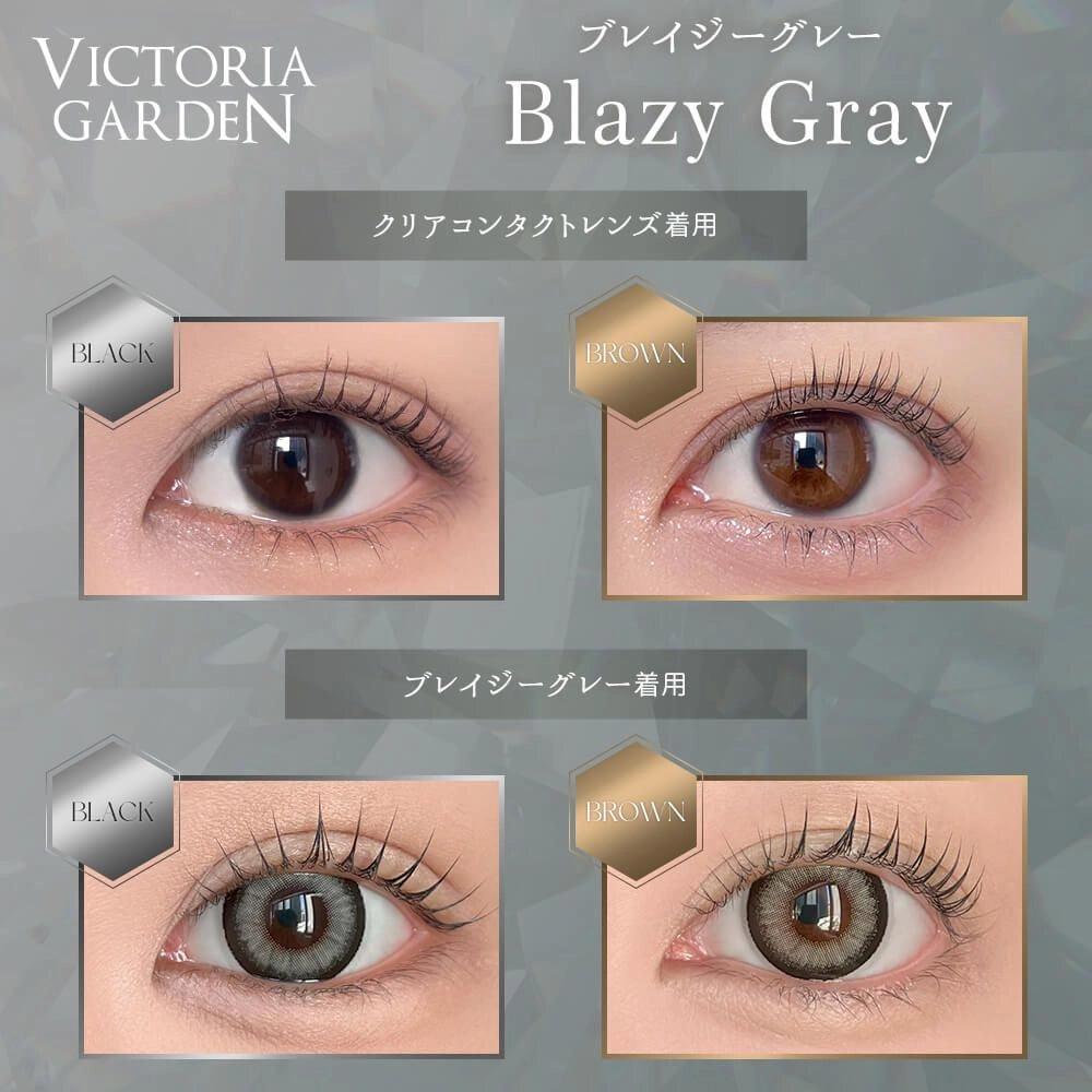 VICTORIA GARDEN 1DAY BLAZY GRAY(1BOX 10SHEETS) 0