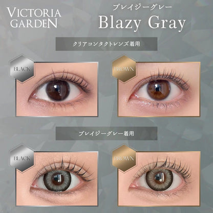 VICTORIA GARDEN 1DAY BLAZY GRAY(1BOX 10SHEETS) 0