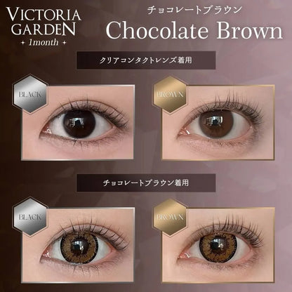 VICTORIA GARDEN 1month CHOCOLATE BROWN(1BOX 2SHEETS) 0