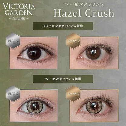 VICTORIA GARDEN 1month HAZLE CRASH(1BOX 2SHEETS) 0