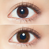 EYEGENIC BY EVERCOLOR SEPIA MIST 2SHEETS 2