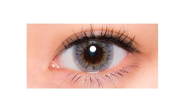 eyelist 1month eyelist bright 14.5mm GRAY 2SHEETS 2