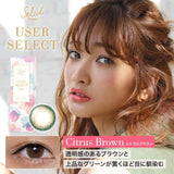 USER SELECT 1DAY CITRUS BROWN 10SHEETS 0